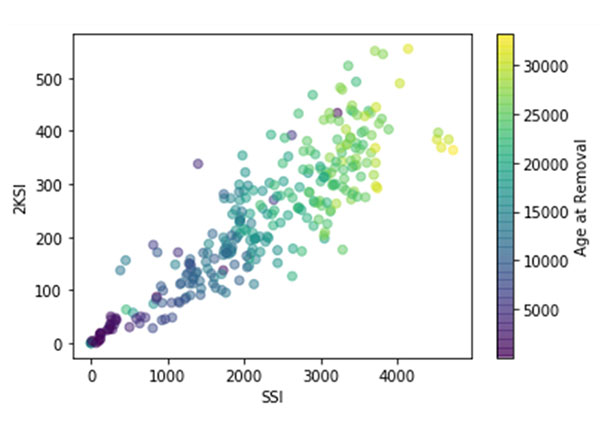 CBM+ Trend Analytics